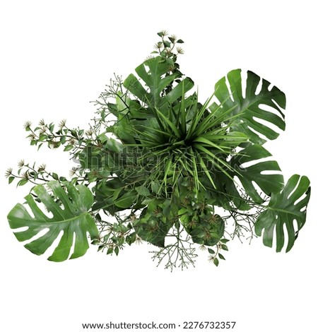 Top view of flower arrangement Royalty-Free Stock Photo #2276732357
