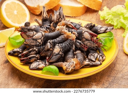 Raw goose barnacles close up on yellow plate on wooden table. Royalty-Free Stock Photo #2276735779
