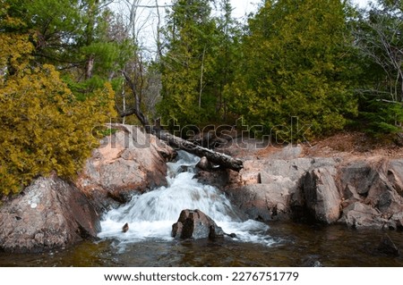 Rapids in the wilderness with rocks, cedar trees going into the lake.