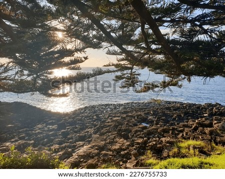 water view in a morning sunny light. Seascape photography