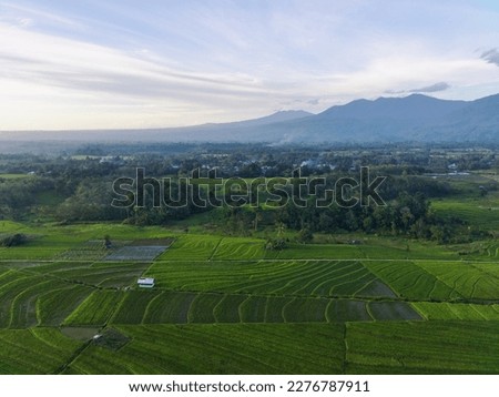 aerial view beautiful morning view from Indonesia about mountain and forest