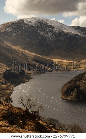 Portrait picture of Hawes water lake in the English Lake District with green and brown fields a bare tree Autumn time trees blue sky with white and grey clouds and snow capped hills.