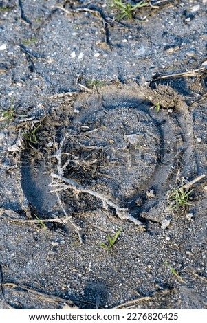 footprint left in the ground by a horseshoe