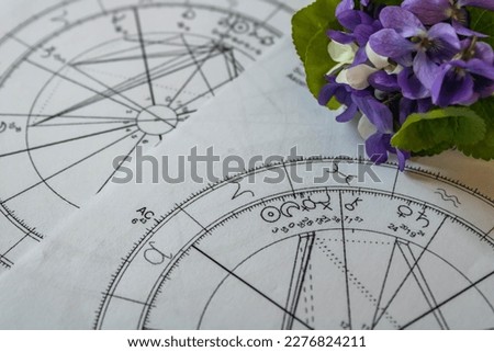 Close up of printed natal charts with astrology moon, purple and white violets in the background, spring concept