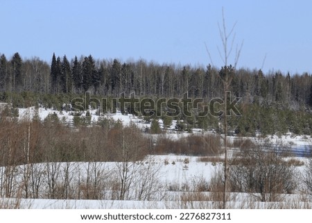 The beginning of spring in the forests and fields of northeastern Europe