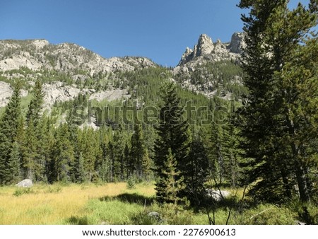 Custer Gallatin National Forest in Beartooth Mountains, Montana Royalty-Free Stock Photo #2276900613