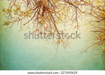 nature of vintage tree flower in summer ,paper art texture