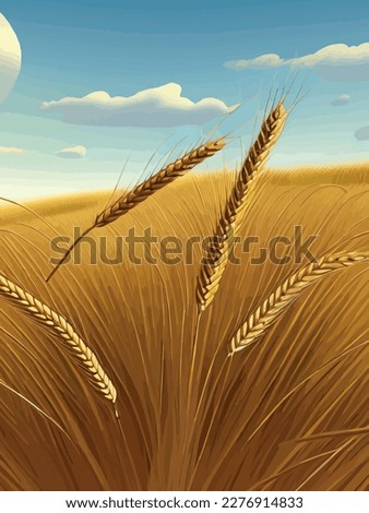 Large wheat thorns in field at a beautiful sunset of nature landscape in sun. Extended rich harvest. Areas agricultural production. Healthy food. Summer season warm. vertical poster, clean background