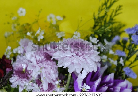 Beautiful picture of flowers ,Florals composition, yellow background theme