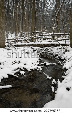 winter landscape. Magical winter forest. Natural landscape. The revival of the planet. Natural beautiful.