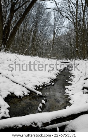 winter landscape. Magical winter forest. Natural landscape. The revival of the planet. Natural beautiful.