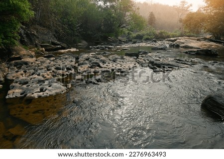 River stream waterfall in forest landscape, beautiful nature water stream with  rocks in the tropical forest little mountain waterfall water flowing and stone clear water in mountain river with tree 