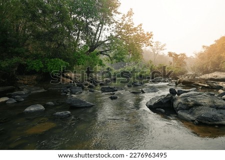 River stream waterfall in forest landscape, beautiful nature water stream with  rocks in the tropical forest little mountain waterfall water flowing and stone clear water in mountain river with tree 