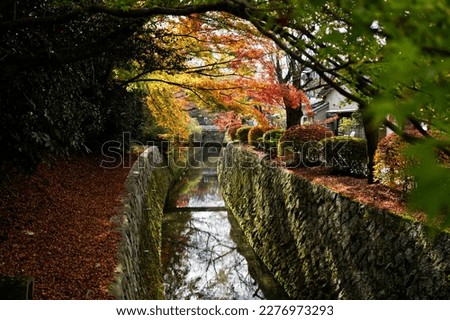 Kyoto with beautiful autumn colors, Philosophy path Royalty-Free Stock Photo #2276973293