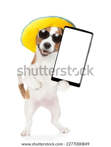 Happy Jack russell terrier wearing sunglasses and summer hat holds big smartphone with white blank screen in it paw, showing close to camera. isolated on white background