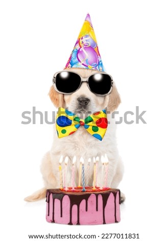 Golden retriever puppy wearing sunglasses and party cap and tie bow sits with birthday cake with lots burning candles. isolated on white background