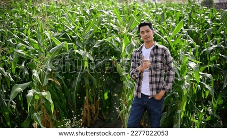 Portrait of young hardworking male farmer working in his corn field. showing a thumps up sign and smiling 