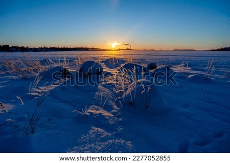 Blue sunset in Finland in winter at the seashore with the industrial skyline in the background