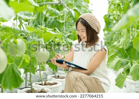 happy asian student woman farmer study use smart technology computer and data in sweet melon, cantaloupe and water melon organic fresh fruit in farm agriculture business