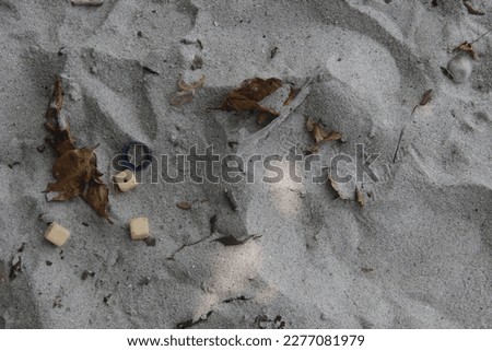 beautiful texture sand beach at indonesian