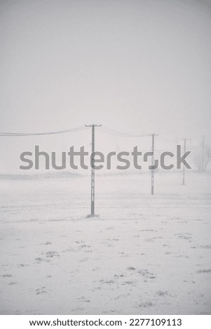 Frozen electric wires during snowfall