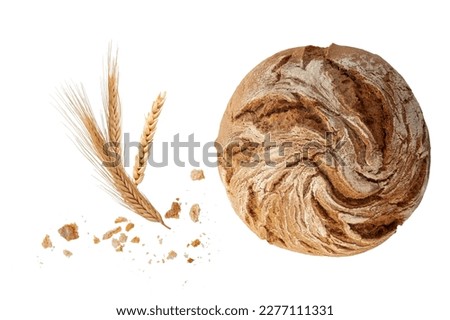 Whole round loaf of fresh baked rye wheat bread with crumbs and spikelets closeup isolated on white background Royalty-Free Stock Photo #2277111331