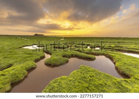 Land reclamation in the tidal marsh mud flats of the Punt van Reide in the Wadden sea area on the Groningen coast in the Netherlands Royalty-Free Stock Photo #2277157271