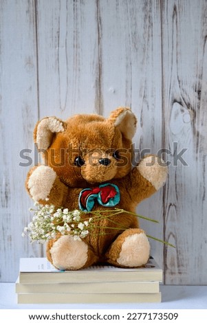 Teddy bear siting on a stock o books with a white wooden background