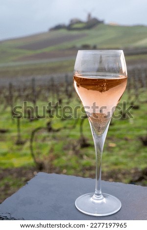 Tasting of brut rose champagne sparkling wine outdoor with view on pinot noir gran cru vineyards of famous champagne houses in Montagne de Reims near Verzenay, Champagne, France
