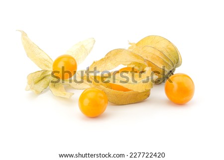 Physalis fruit isolated on white background
