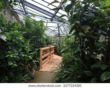 View of the greenhouse of the Biotropica animal gardens which is a French zoological park of Normandy located in the Eure Royalty-Free Stock Photo #2277224381