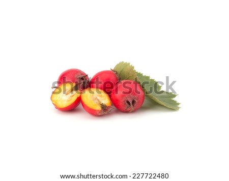 Hawthorn berry isolated on white background