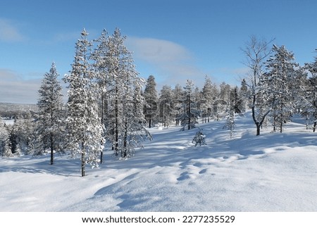 Horizontal picture of a winter landscape just after the snowfall. Sunny spring day, in Rovaniemi with ounasvaara. Shadows and blue sky in the forest.