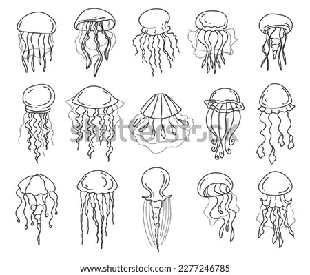 Jellyfish animal fish jelly ocean doodle outline isolated set. Vector graphic design element illustration