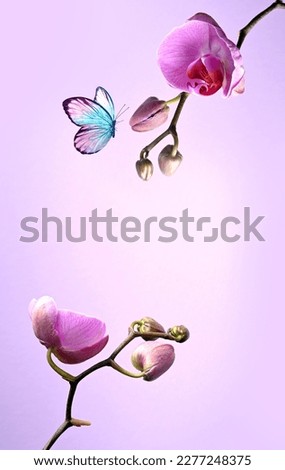 Branch of tropical pink orchids and butterfly on pink background.