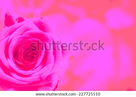Wonderful flower rose as character festive decoration