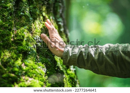A man's hand touch the tree trunk close-up. Bark wood.Caring for the environment. The ecology concept of saving the world and love nature by human. Royalty-Free Stock Photo #2277264641