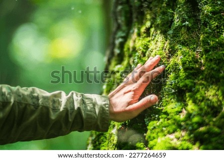 A man's hand touch the tree trunk close-up. Bark wood.Caring for the environment. The ecology concept of saving the world and love nature by human. Royalty-Free Stock Photo #2277264659