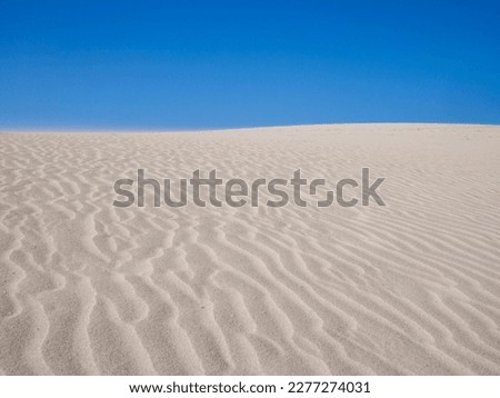 the sand dunes of Corralejo on Fuerteventura, with white sand, in summer with sunshine, waves in the sand