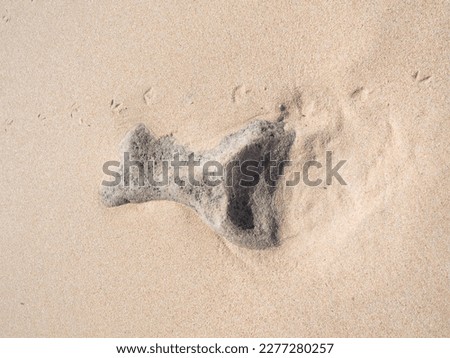 different rock formations on the beach in the sand, abstract shapes of gray stones