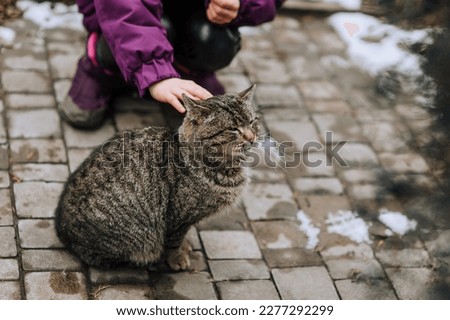 A girl, a child strokes her hand, caresses her beloved beautiful gray tabby cat, a pet outdoors in nature in winter. Photography, portrait, people's love for animals.