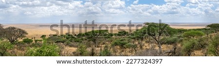 Savannah landscape in Serengeti National Park Royalty-Free Stock Photo #2277324397