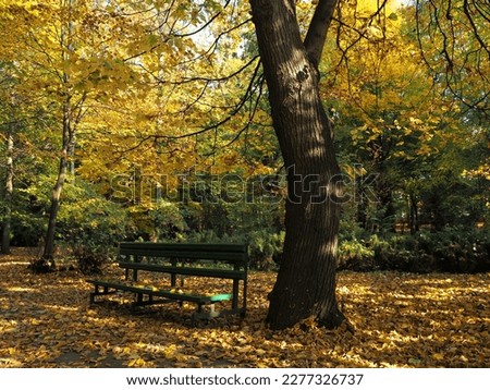 Romatic autumn park. Falling leaves. Fall season photography. A bench in the park.