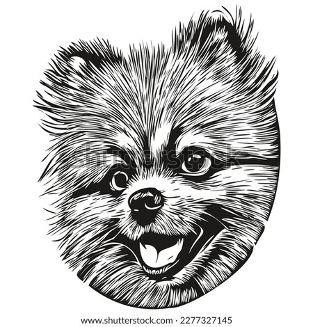 Pomeranian spitz dog vector illustration, hand drawn line art pets logo black and white
