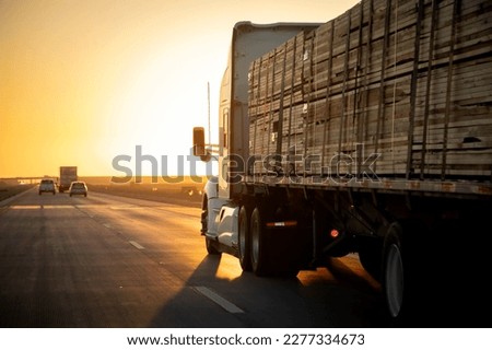 Long Haul 18 Wheel Truck driving on a highway with a load of lumber at sunrise or sunset  Royalty-Free Stock Photo #2277334673