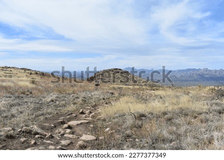 Wilderness at Top of Picketpost Mountain in Arizona  Royalty-Free Stock Photo #2277377349