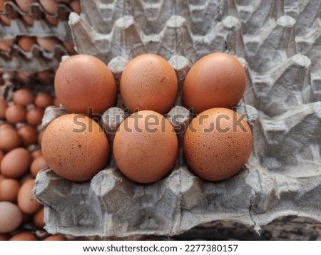 Close-up photo of eggs arranged neatly on a cardboard tray or egg coaster.
