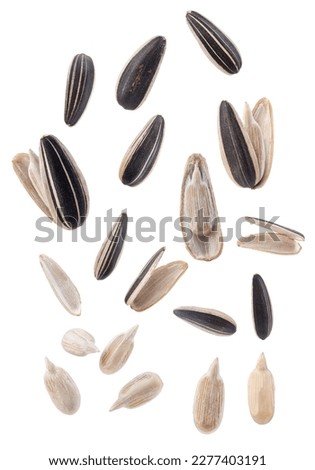 a set of sunflower seeds isolated on white background. Royalty-Free Stock Photo #2277403191