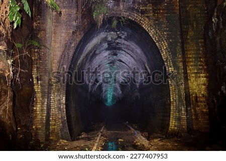 Glow Worms in disused train tunnel to the south of Sydney Australia