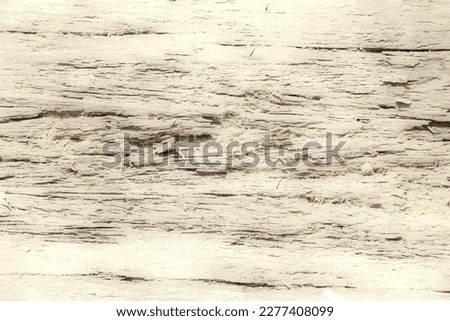 Abstract texture of aged wood grain in sepia on pale ivory background like retro cinema.